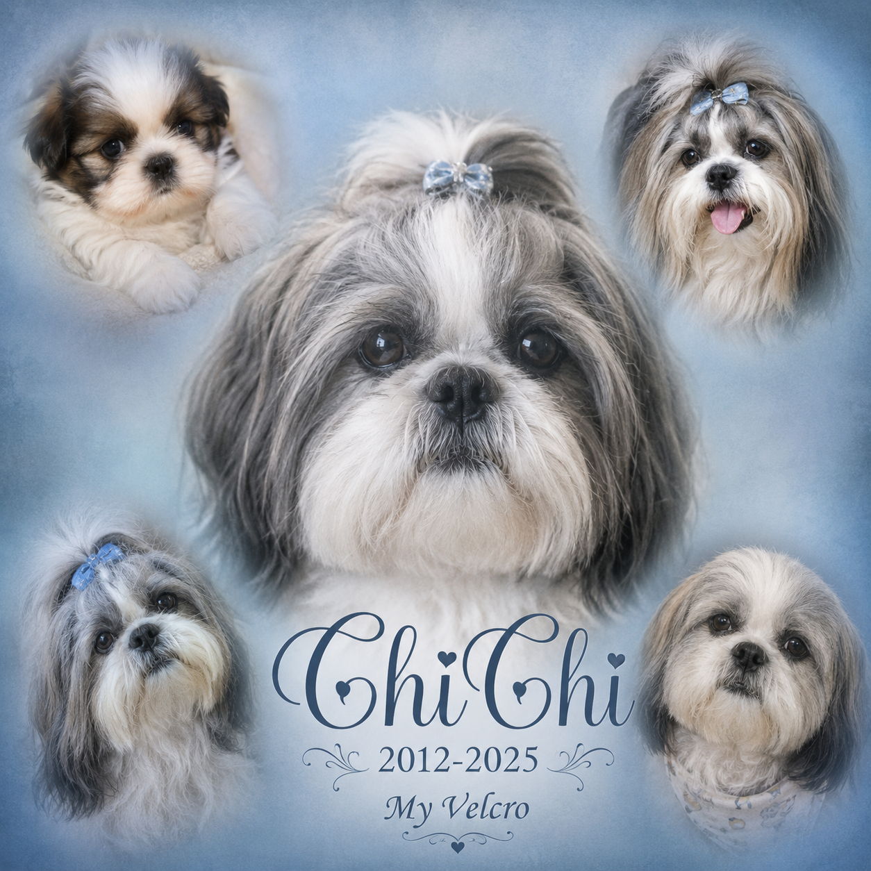 Custom Memorial Canvas Portraits